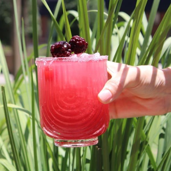 A hand holds a vibrant pink cocktail garnished with two blackberries against a backdrop of green foliage.